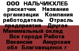 ООО "НАЛЬЧИКХЛЕБ" раскатчик › Название организации ­ Компания-работодатель › Отрасль предприятия ­ Другое › Минимальный оклад ­ 1 - Все города Работа » Вакансии   . Амурская обл.,Благовещенск г.